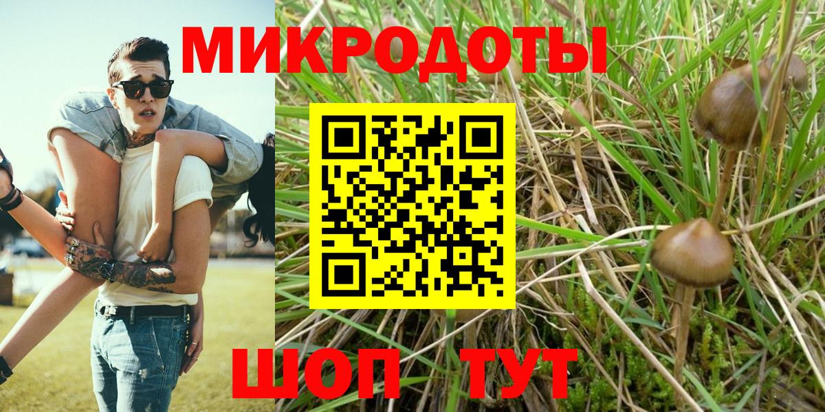 Галлюциногенные грибы мицелий Сальск