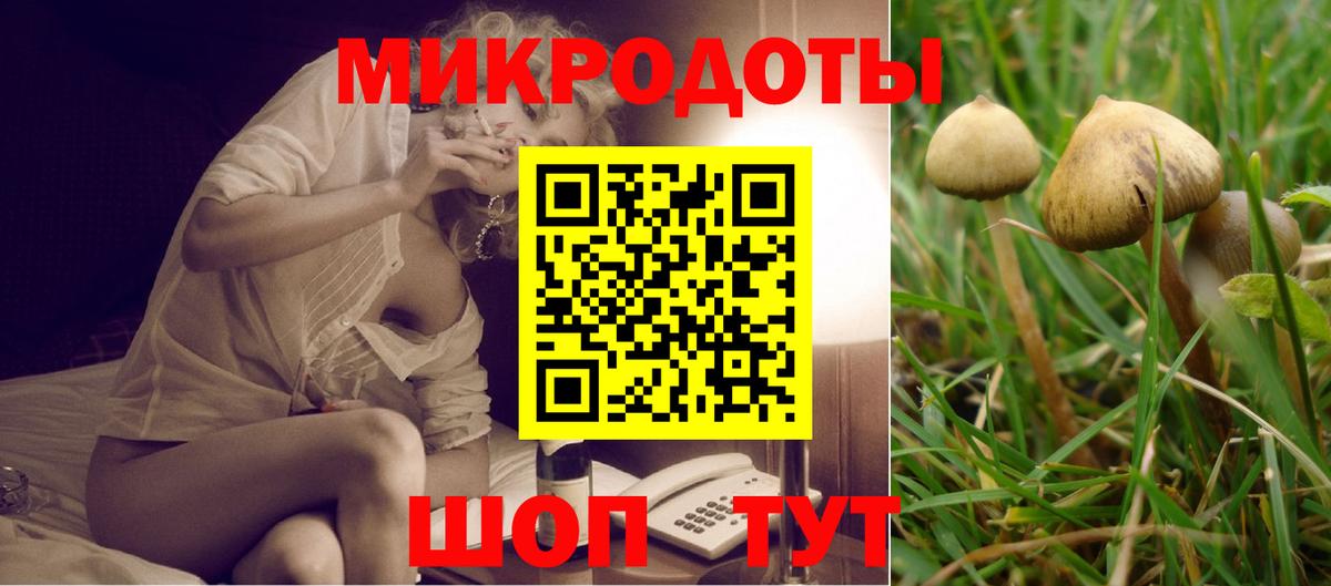 Галлюциногенные грибы Psilocybine cubensis  Вход с VPN  Псилоцибиновые грибы ЛСД  Сальск 